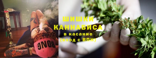 шишки Белокуриха