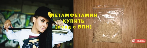 шишки Белокуриха