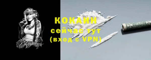 крисы Балахна