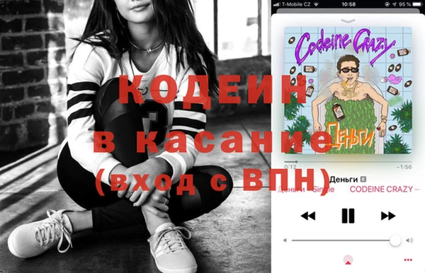 шишки Белокуриха