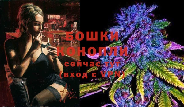 шишки Белокуриха